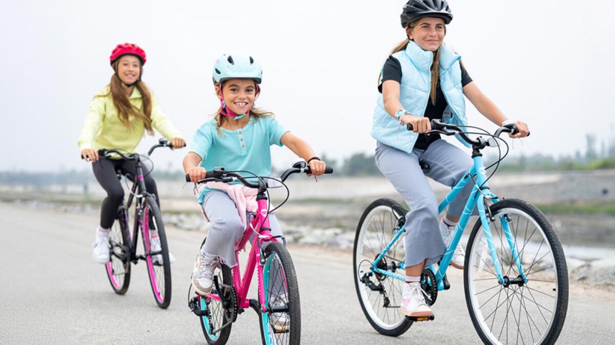 Guardian Bikes