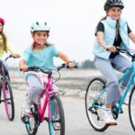 Guardian Bikes