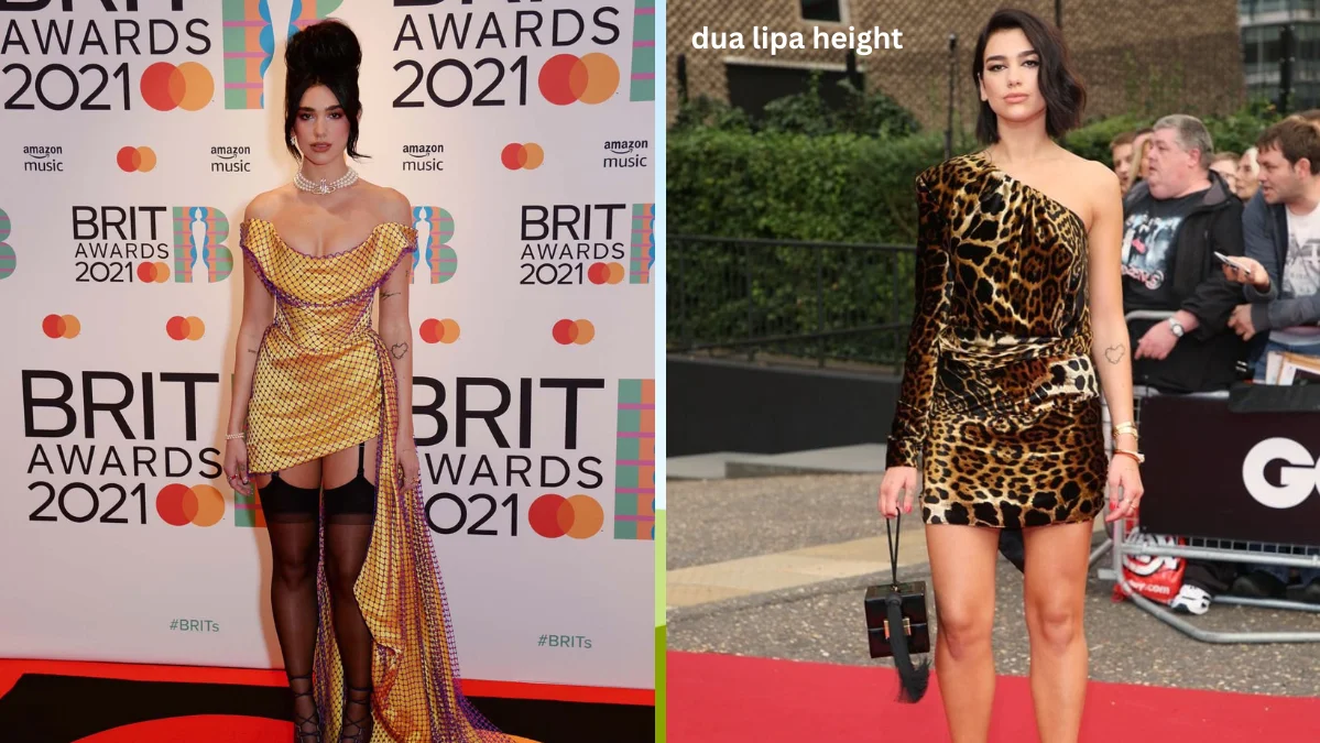 Dua Lipa Height